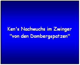 Textfeld: Ken's Nachwuchs im Zwinger "von den Dombergspatzen"
