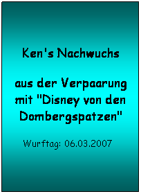 Textfeld: Ken's Nachwuchs 
aus der Verpaarung mit "Disney von den Dombergspatzen" 
Wurftag: 06.03.2007   
